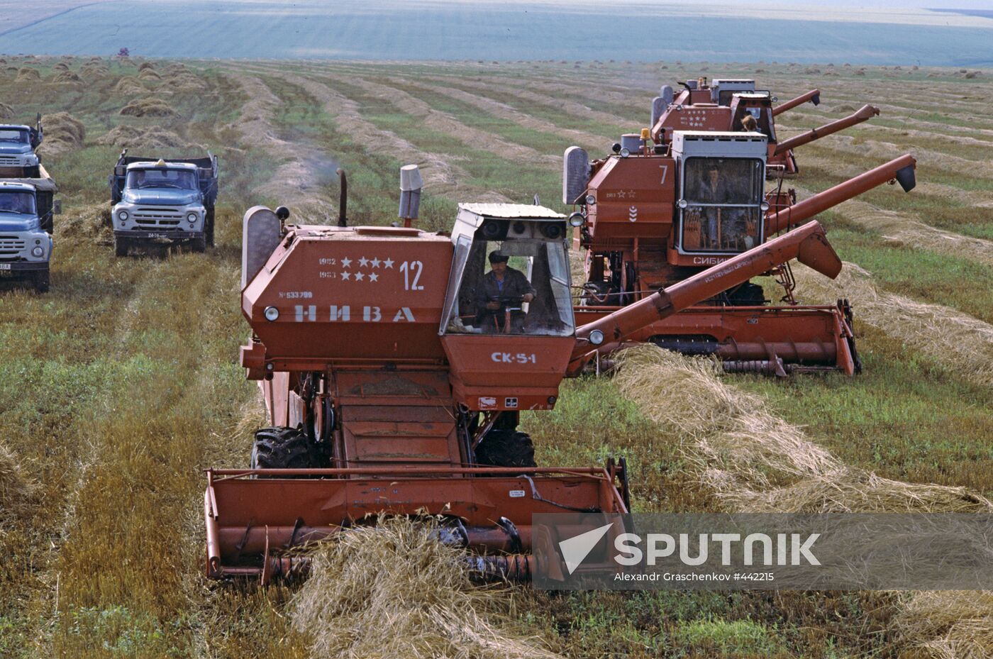 Harvesting grain