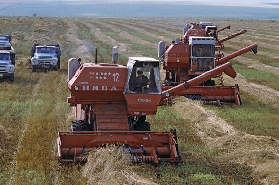 Harvesting grain