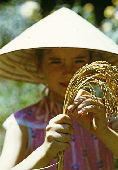Young rice grower