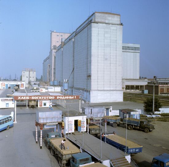 Timashevsky grain elevator