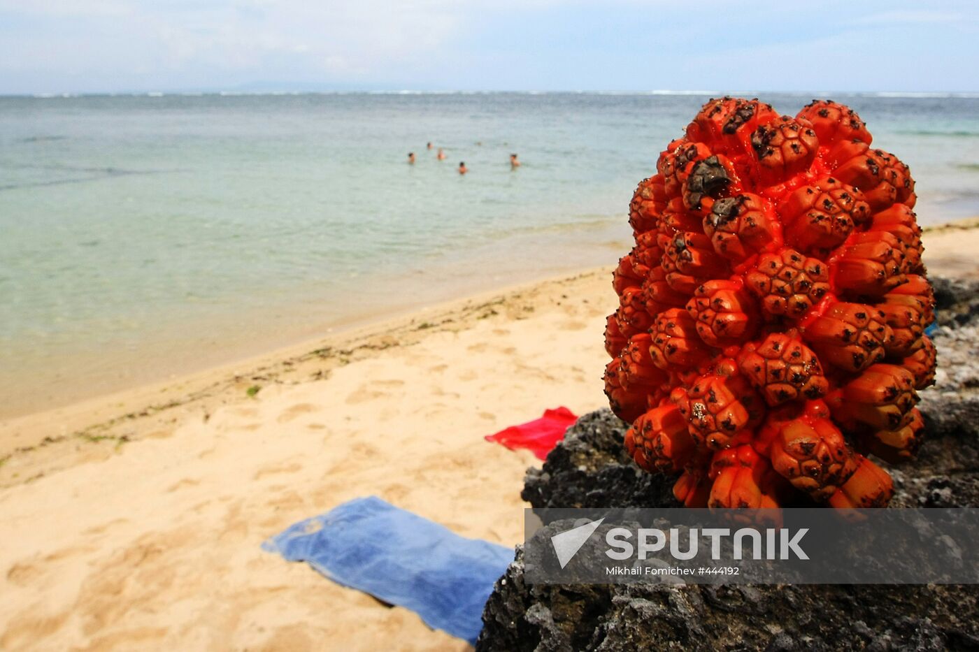 Foreign Countries. Indonesia. Bali beaches