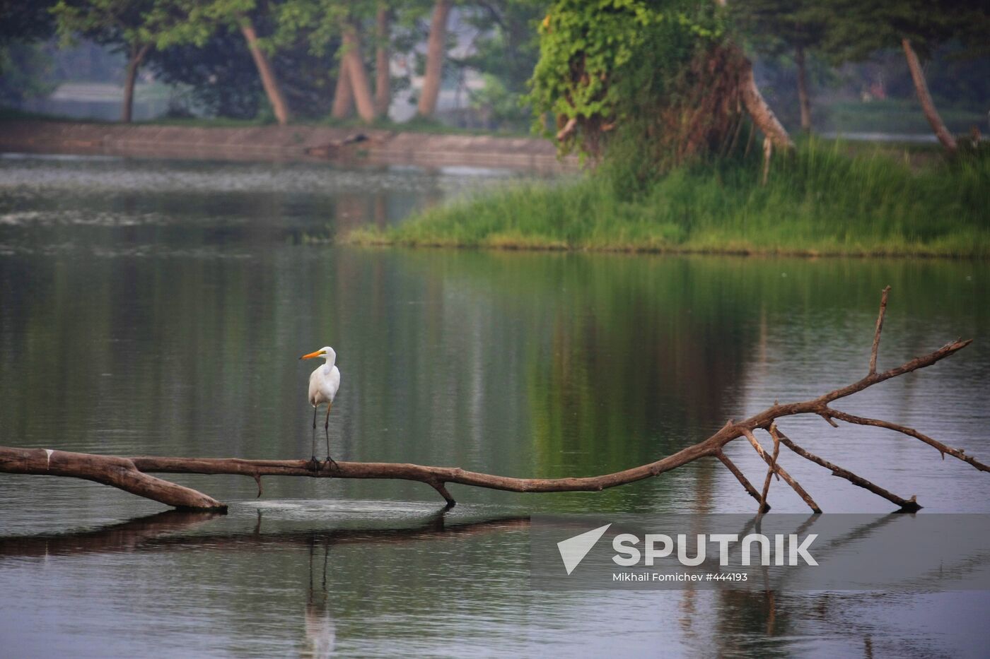 Foreign countries: Indonesia. Bali people