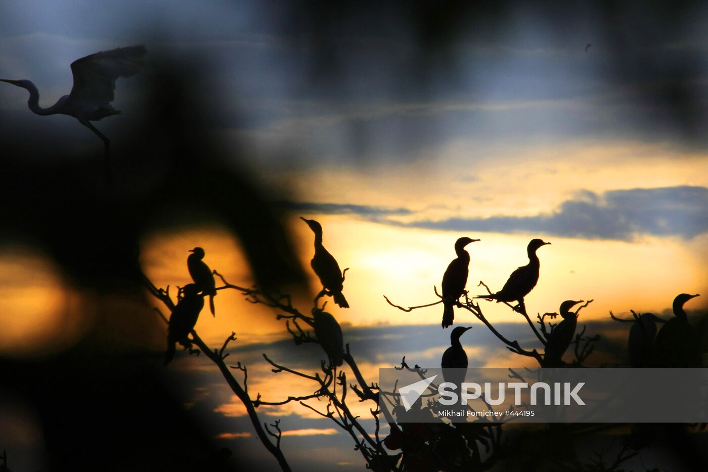 Foreign countries: Indonesia. Bali people