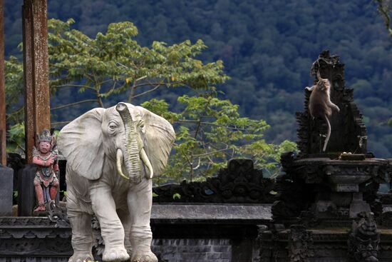 Foreign countries. Bali, Indonesia