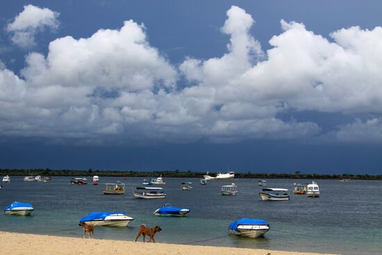 Foreign Countries. Indonesia. Bali beaches