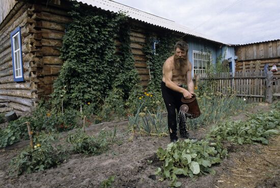 Kitchen garden