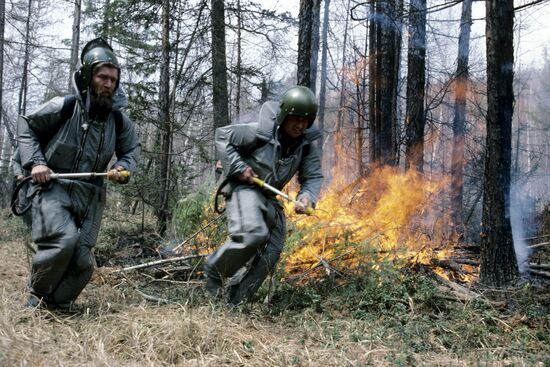 Fire in taiga forest