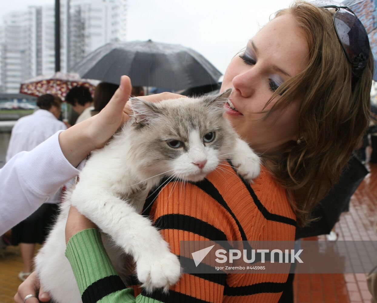 Kaliningrad celebrates Cat Day