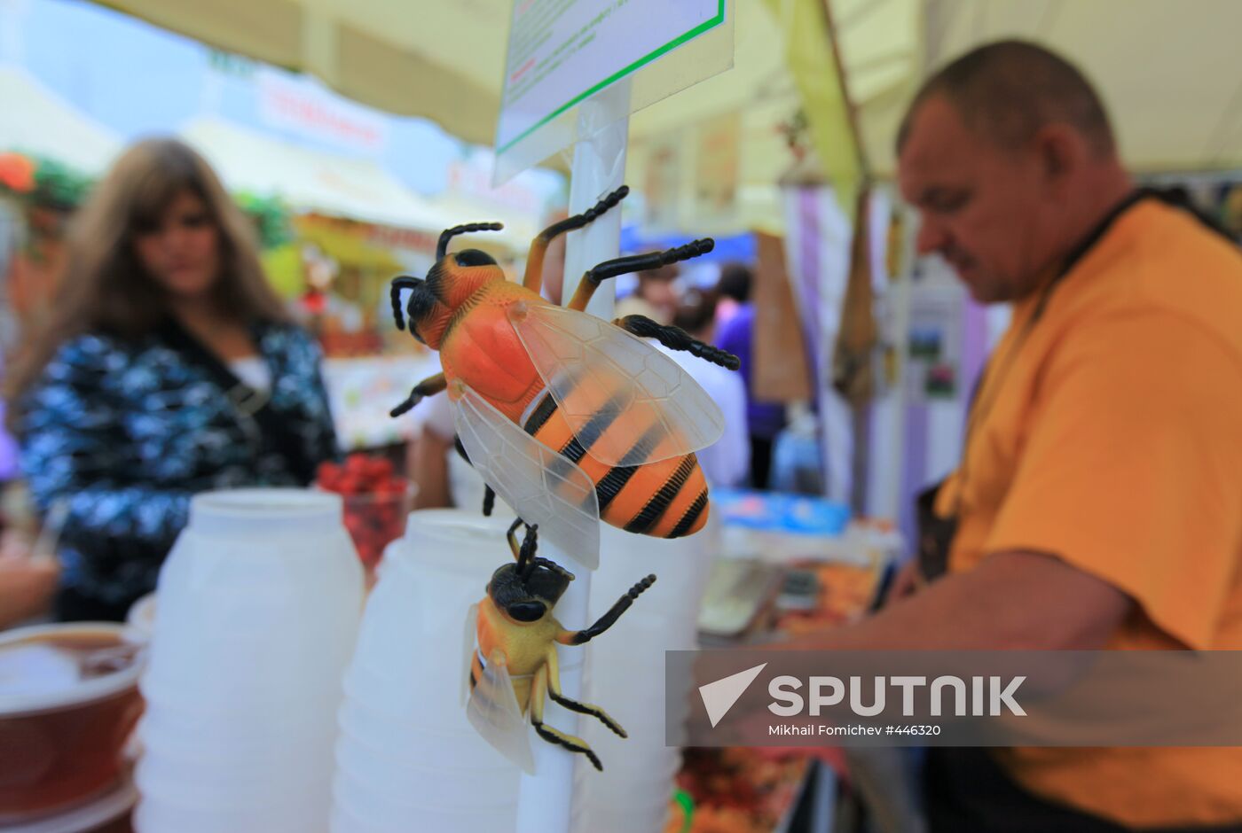 Honey fair in Tsaritsyno, Moscow