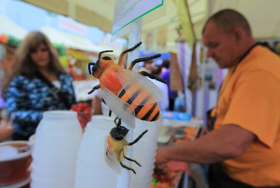 Honey fair in Tsaritsyno, Moscow