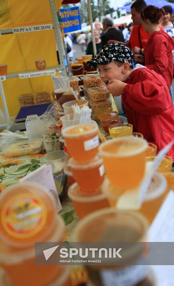 Honey fair in Tsaritsyno, Moscow