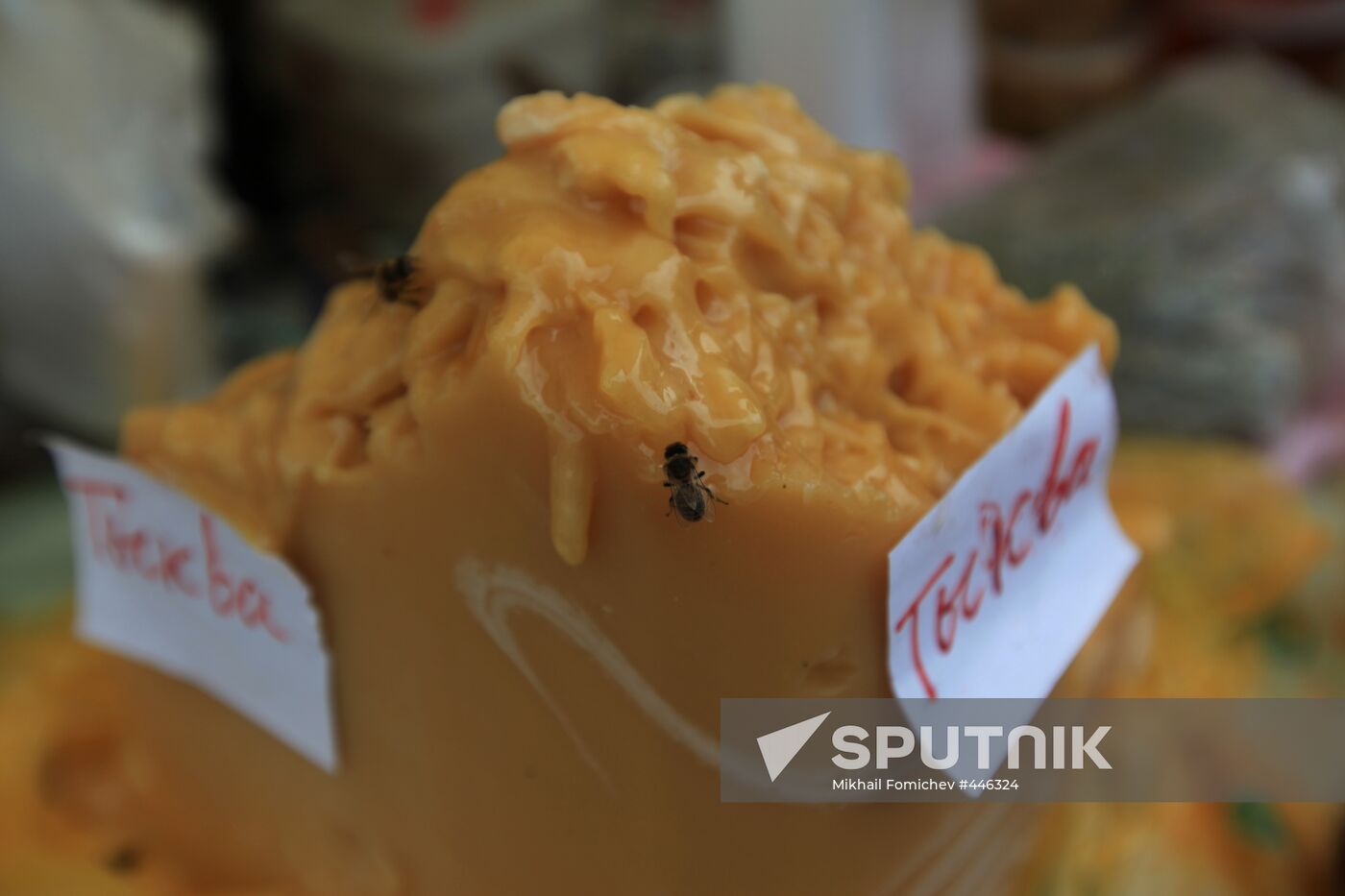 Honey fair in Tsaritsyno, Moscow