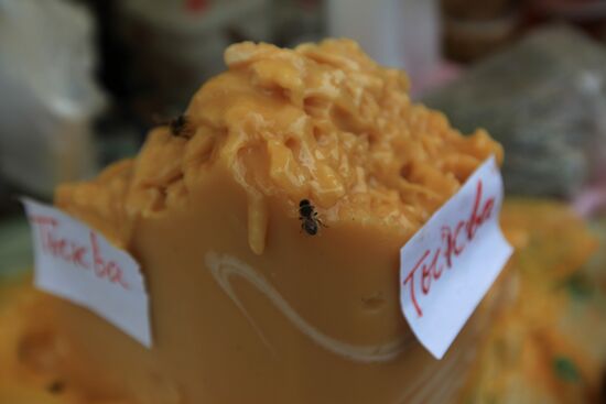 Honey fair in Tsaritsyno, Moscow
