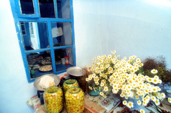 A Cossack house