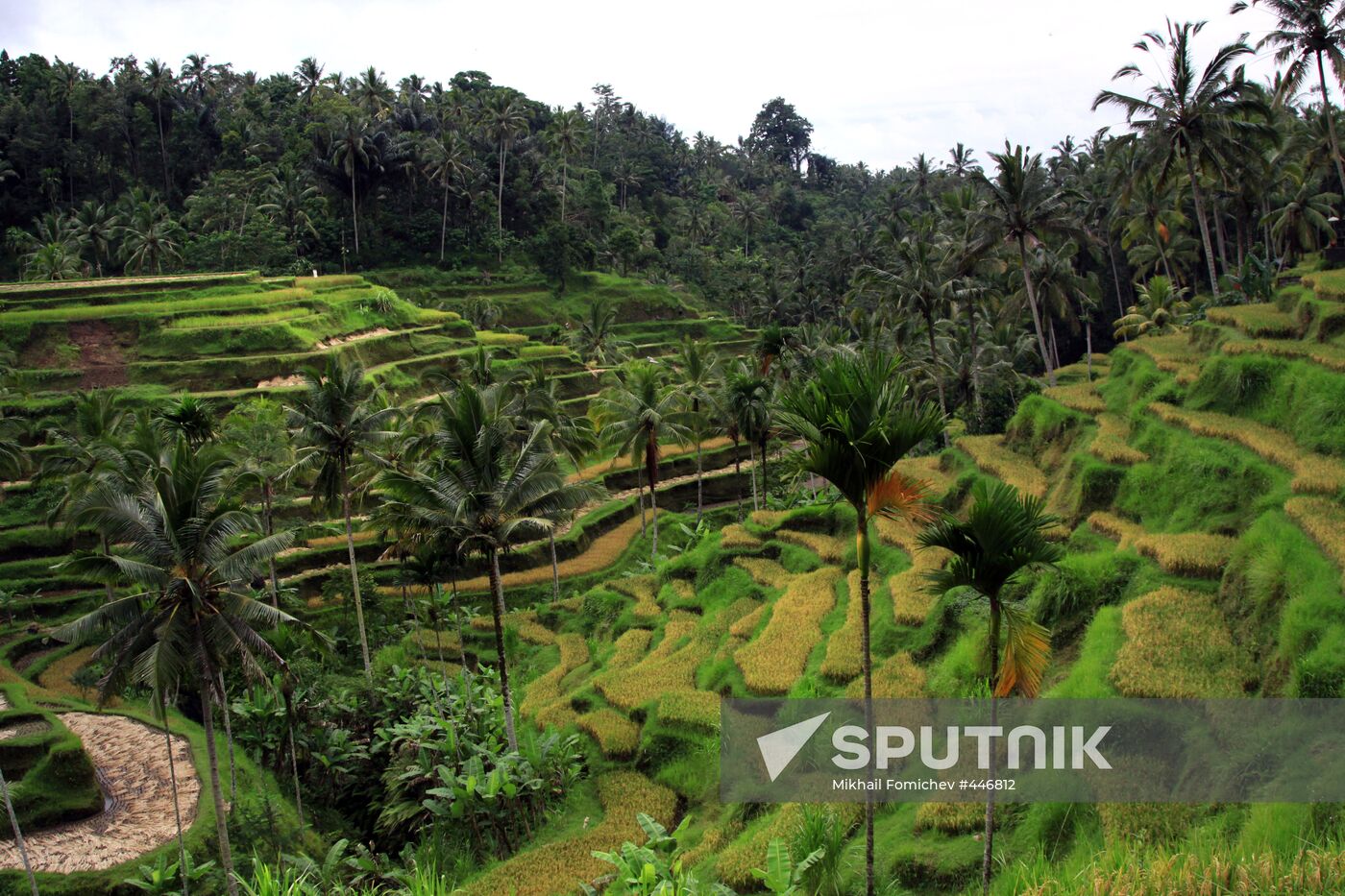 Foreign countries. Indonesia. Bali