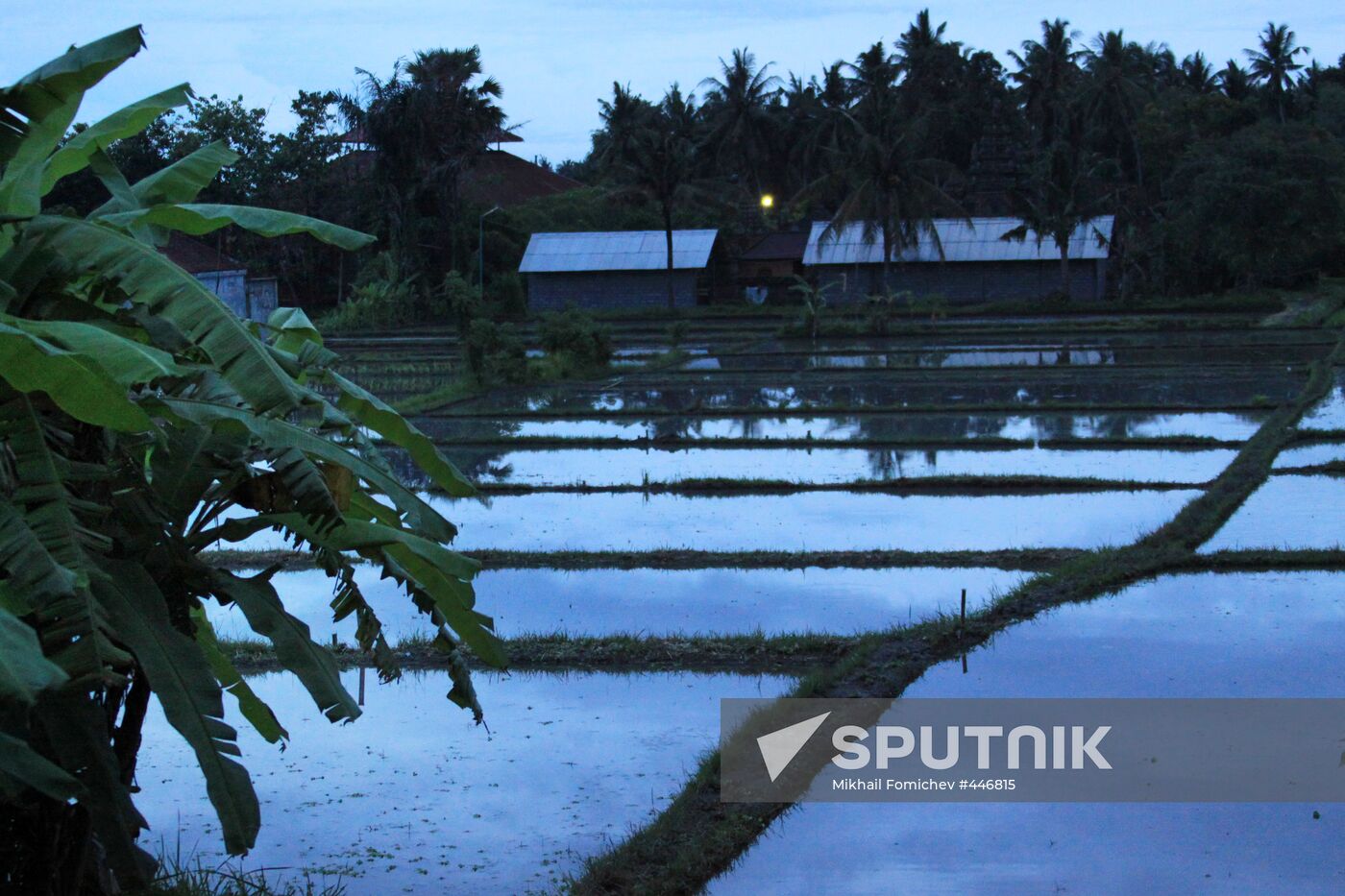 Foreign countries. Indonesia. Bali