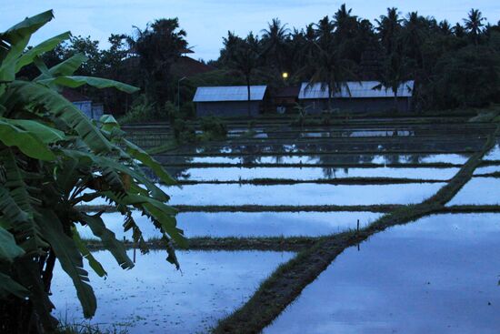 Foreign countries. Indonesia. Bali