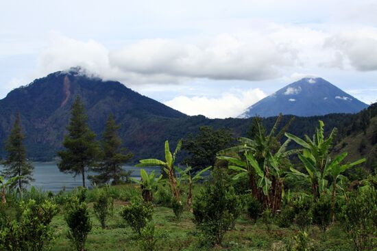 Foreign countries. Indonesia. Bali