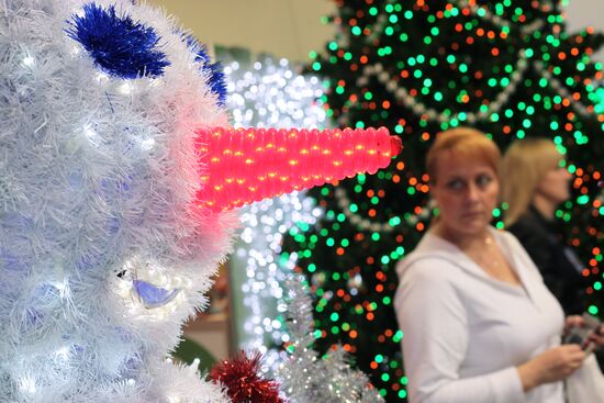 "Christmas time/100 Days till New Year" fair in Artist House