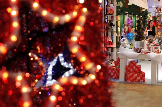 "Christmas time/100 Days till New Year" fair in Artist House