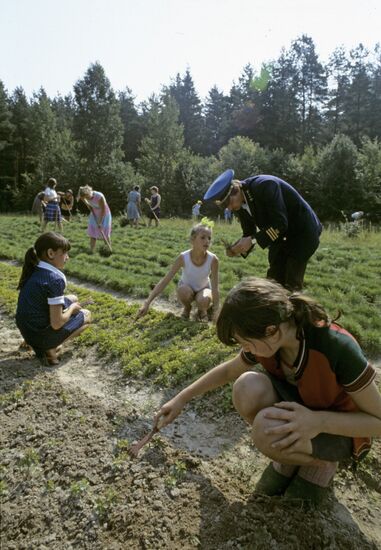 Zhukovskoye school forest station