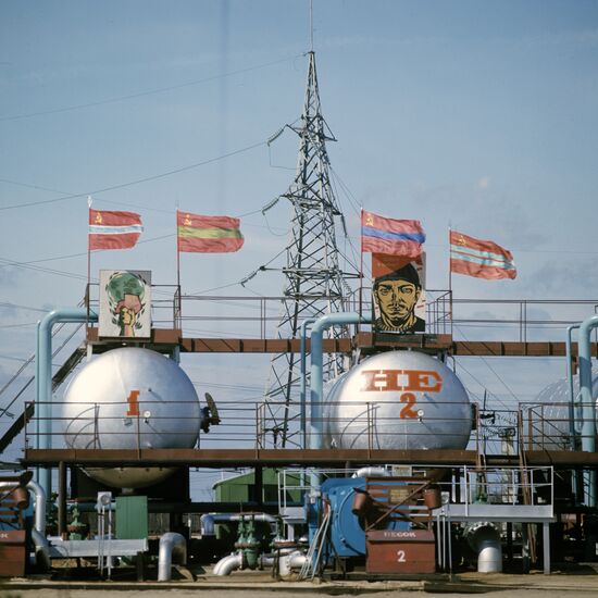 Station for extraction and coarse purification of oil