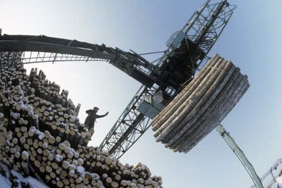Logging warehouse