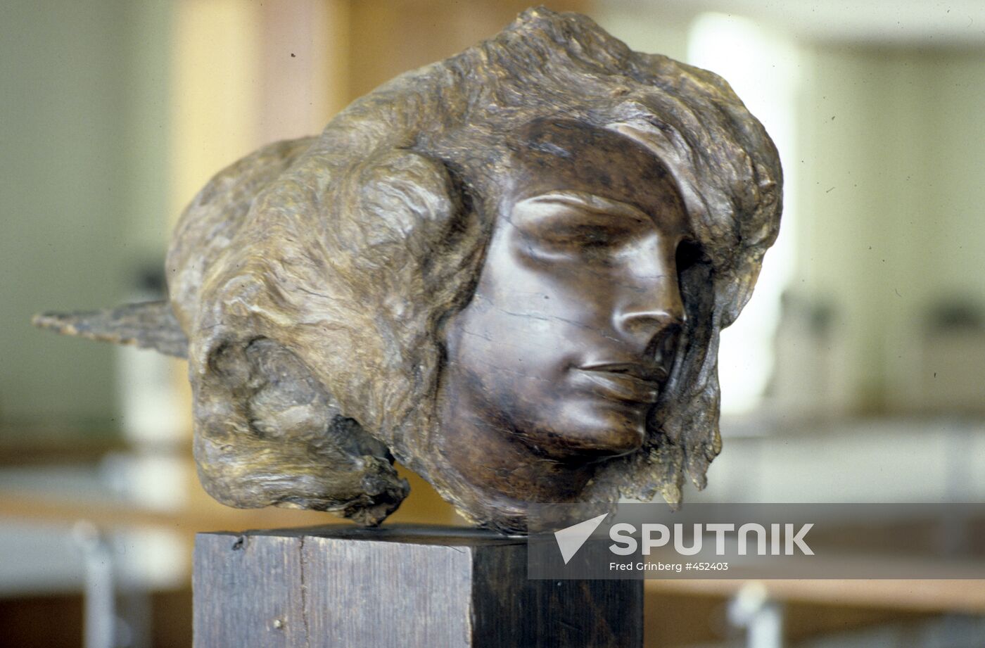 "Woman's Portrait"