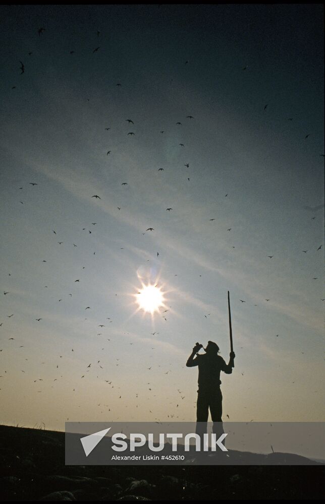 Terns’ nesting site