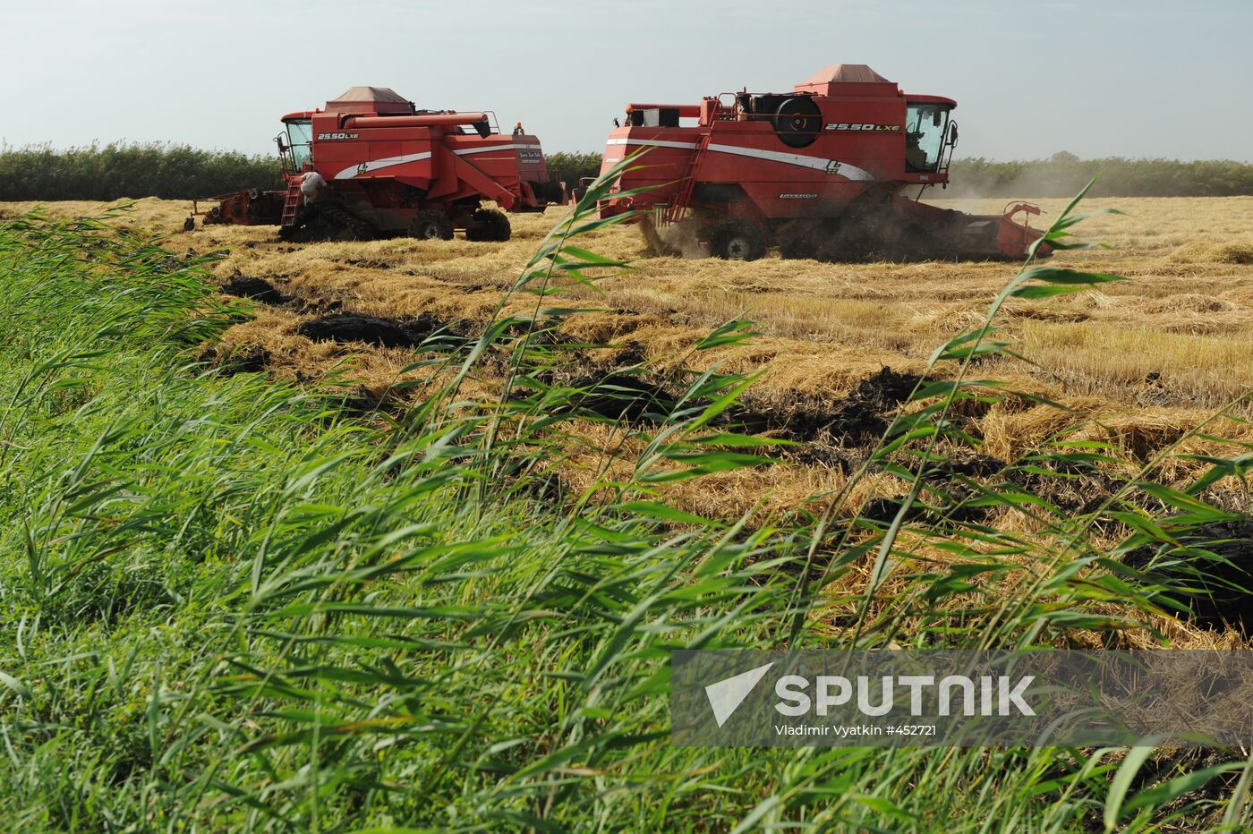 Poltavskaya Ltd agricultural farm