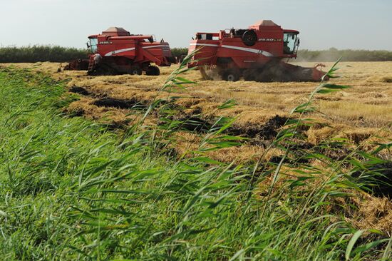 Poltavskaya Ltd agricultural farm