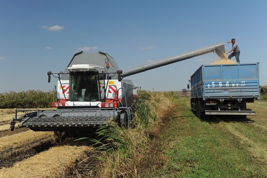 Poltavskaya Ltd agrocultural farm