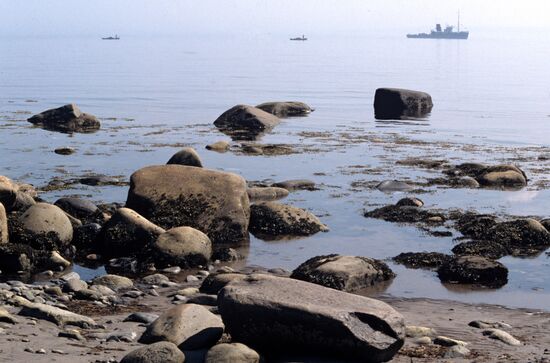 White Sea coast
