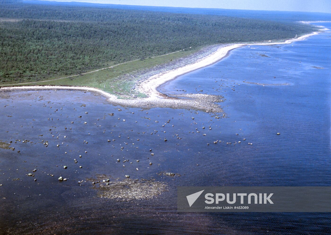 White Sea shore