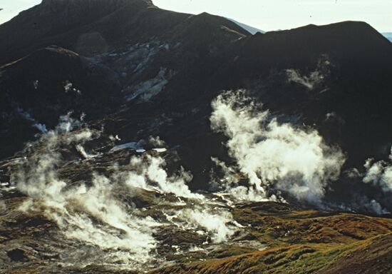 Geyser Valley