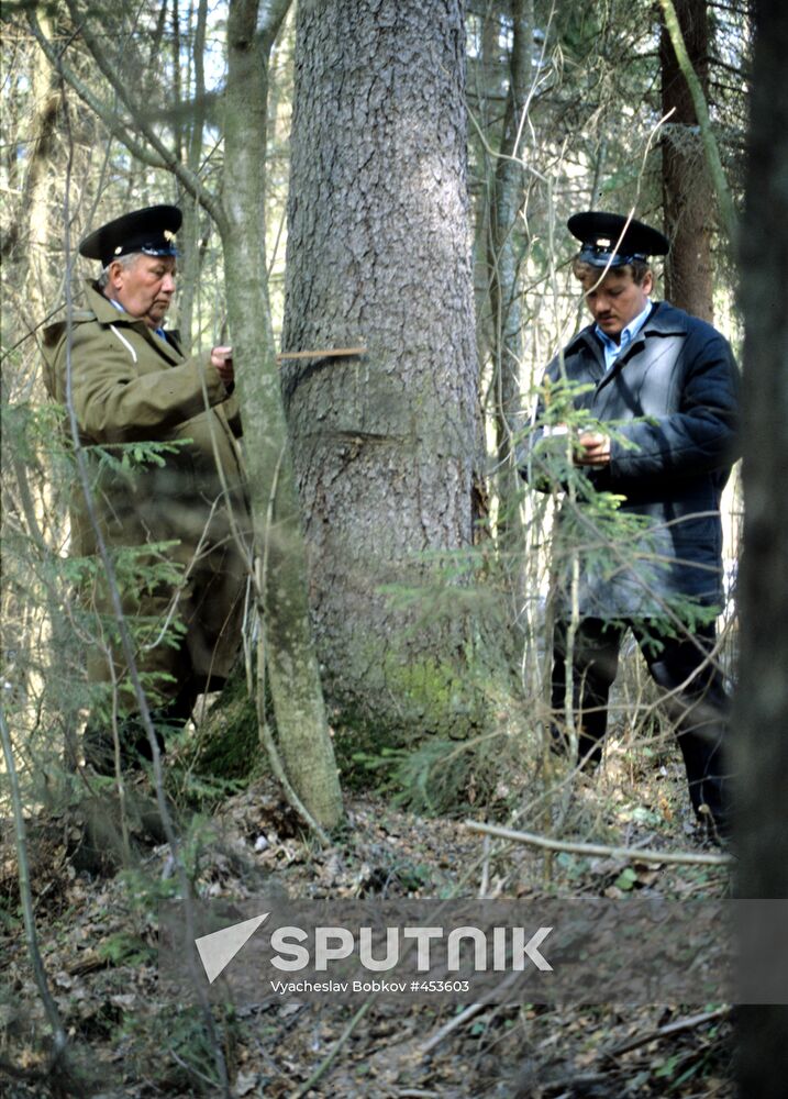 Forest rangers Alexander Kiryanov and Dmitry Vingoradov