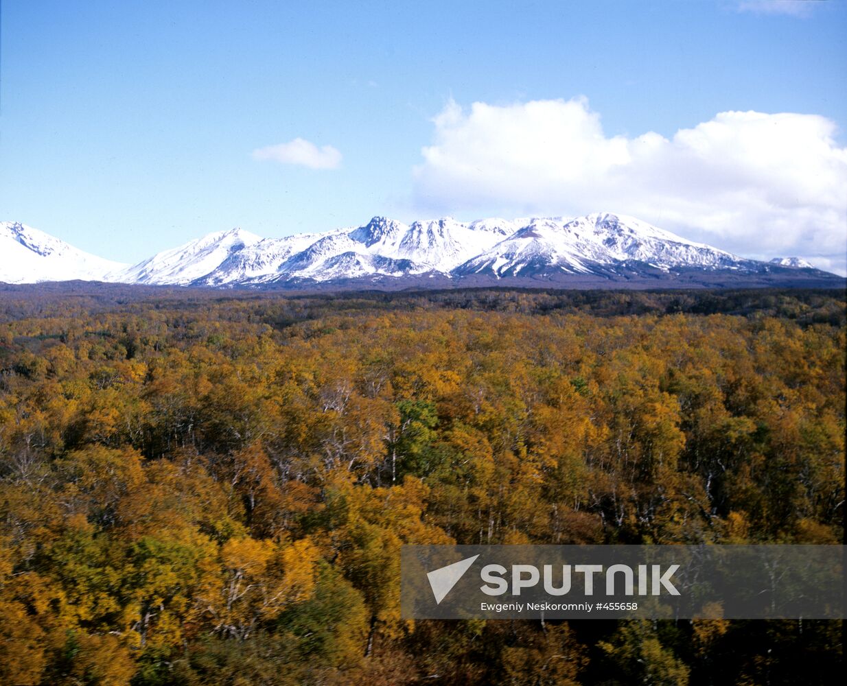Kronotsky Nature Reserve