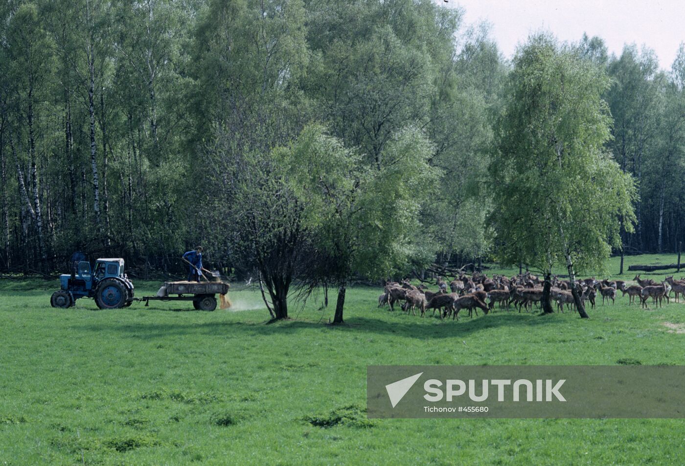"Novosyolovsky" maral breeding state farm