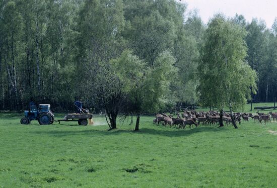 "Novosyolovsky" maral breeding state farm