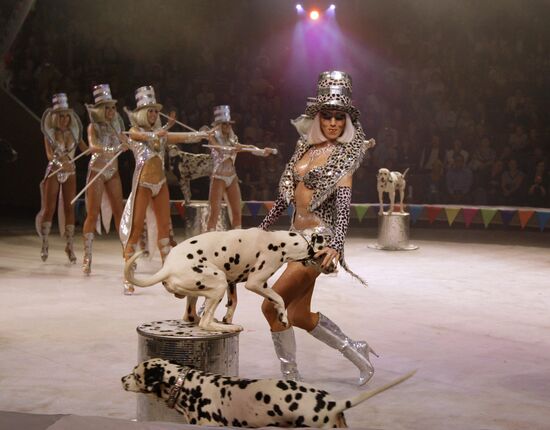 Moscow State Circus on Vernadsky Prospekt presents new show