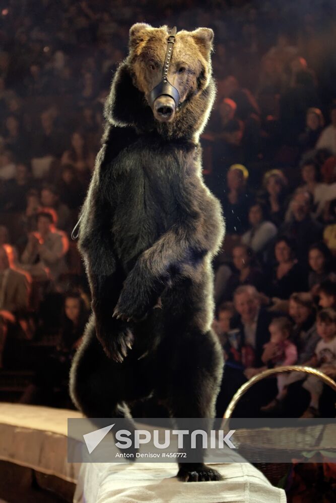 Moscow State Circus on Vernadsky Prospekt presents new show