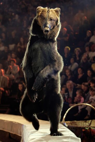 Moscow State Circus on Vernadsky Prospekt presents new show