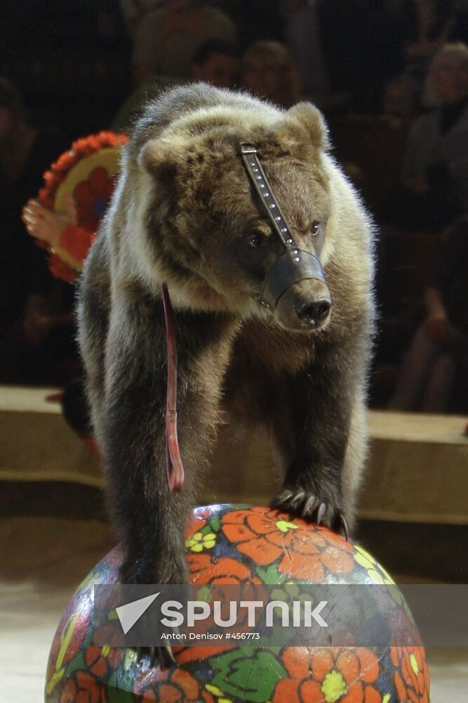 Moscow State Circus on Vernadsky Prospekt presents new show