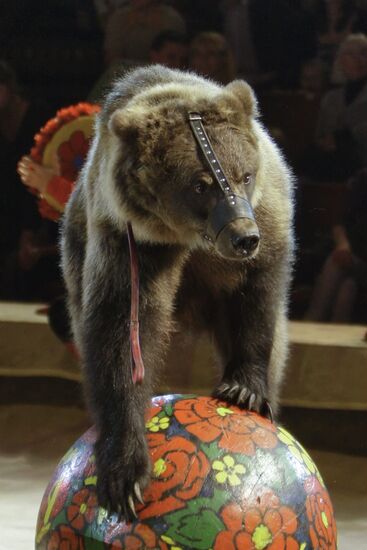 Moscow State Circus on Vernadsky Prospekt presents new show