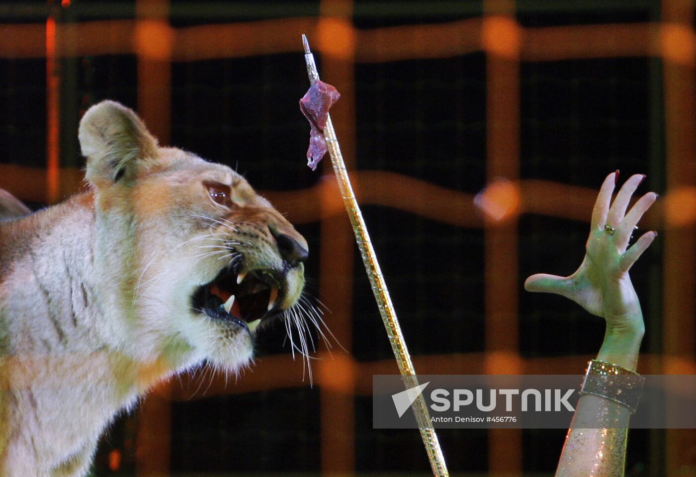 Moscow State Circus on Vernadsky Prospekt presents new show