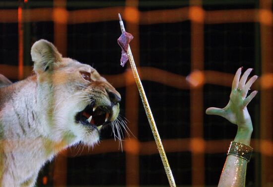 Moscow State Circus on Vernadsky Prospekt presents new show