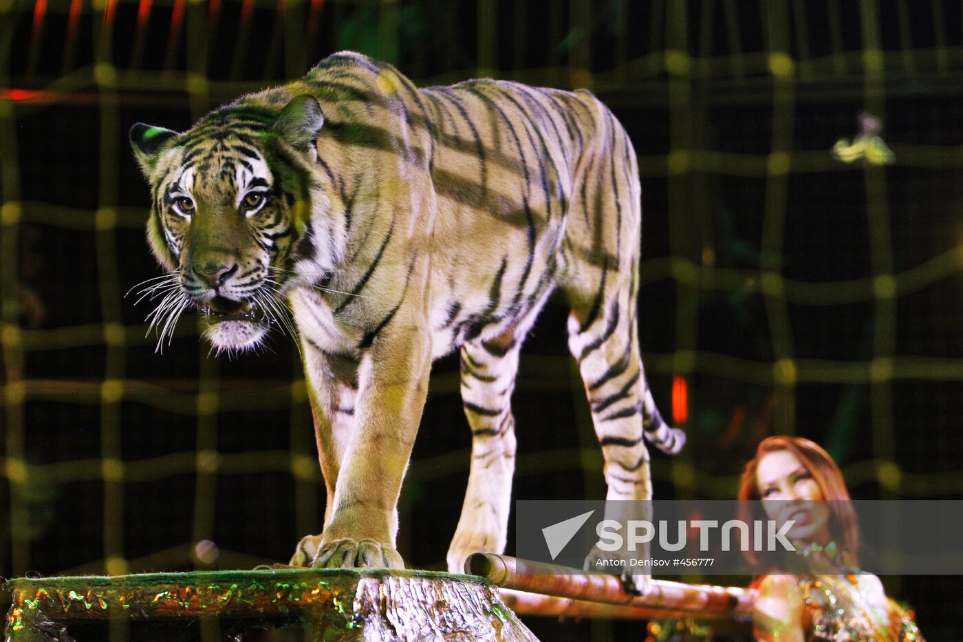 Moscow State Circus on Vernadsky Prospekt presents new show