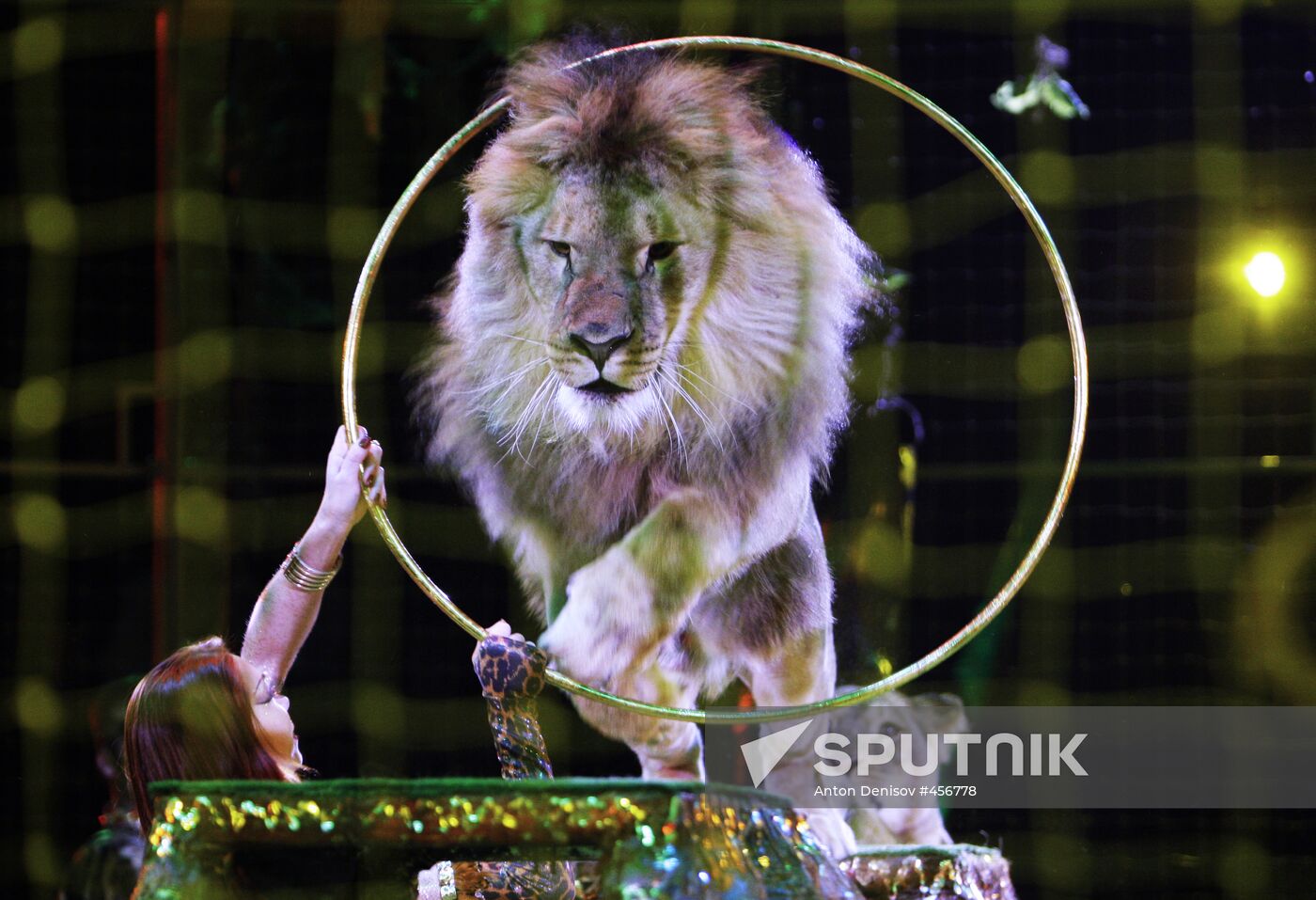 Moscow State Circus on Vernadsky Prospekt presents new show