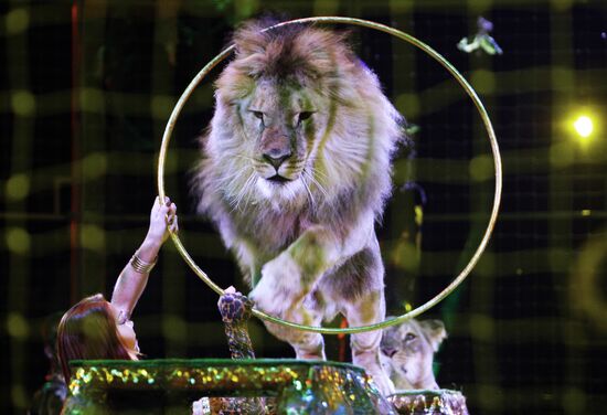 Moscow State Circus on Vernadsky Prospekt presents new show