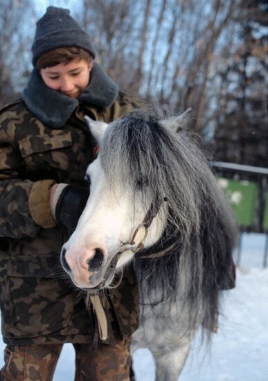 Boy and pony